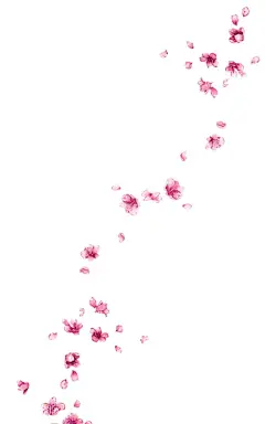 花瓣   - 源文件下载【酷图网】樱花,花瓣,粉色花,桃花免扣,小清新,樱花免扣,春天,桃花,梨花,樱花背景,樱花盛开,花朵,花草,花卉,浪漫,情人节,芳香,盛开,花朵卡通图片,手绘樱花,花朵背景,樱花素材,唯美素材,唯美樱花,粉色,唯美,古典花纹,手绘梅花,腊梅,红梅,梅花图片