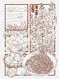 二十四节气｜夏季篇｜线稿