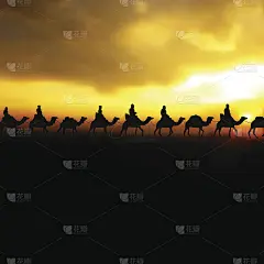 骆驼商队在美丽的日出