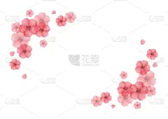 樱花,矢量,水彩画,传统,华丽的,请柬,贺卡,水彩画颜料,运动,边框