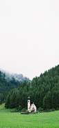 风景 手机壁纸