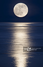 月亮,海洋,在上面,月光,夜晚正版图片素材