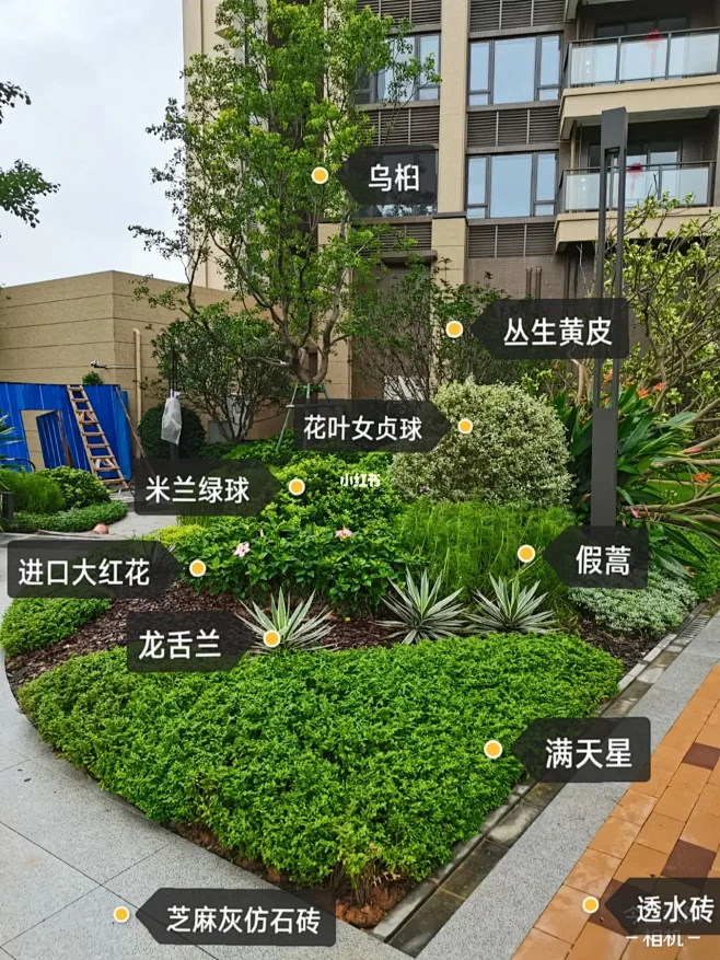 项目现场-岭南展示区花境现场图片_A-花园-植物配置图片素材-花瓣网