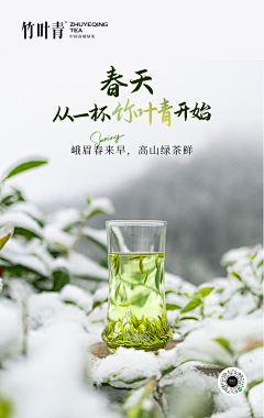 椿言视觉社采集到茶