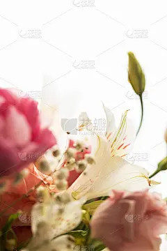 浪漫柔花捧花静物。软的焦点。优雅的贺卡背景。早晨的阳光