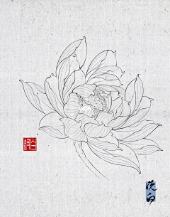 鴈王采集到古感