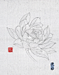 procreate白描新传统荷花线稿分享