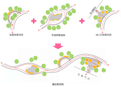 tNwzvS8y采集到城市绿地