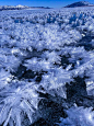 赛里木湖｜冰蓝如翡翠不输冰岛的冬日仙境