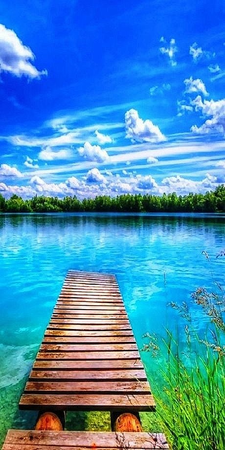 旅行风景唯美梦幻自然意境美景大海柳色成荫如烟的湖边你一曲婉转的清