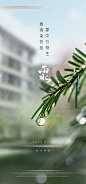 雨水节气海报-源文件