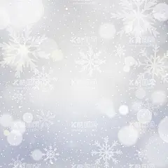 矢量雪花  - 源文件下载【酷图网】AI,雪花,氛围图,矢量雪花,雪花碎片