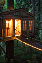 Treehouse Point by (Alex Levine Photography)