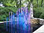Chihuly at Cheekwood: 