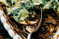 Mushroom Gravy Pie with Garlicky Kale Mashed Potatoes (vegan) - The First Mess