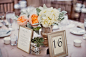 garden roses, candy bar, birdcage, peach, outdoor, rustic, mercury glass, ivory, dusty miller, champagne