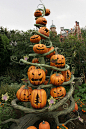 Tokyo Disneyland Halloween 2005 | 相片擁有者 jark