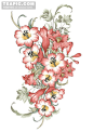 [一支樱花花素材]