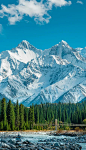 新疆伊犁木扎尔特冰川雪山森林自然风光图片下载