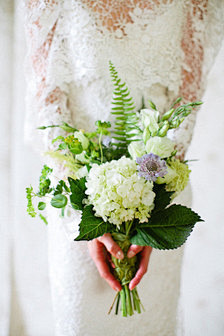 ⊱捧花bouquet⊰_猫颜冷冷图片专辑...