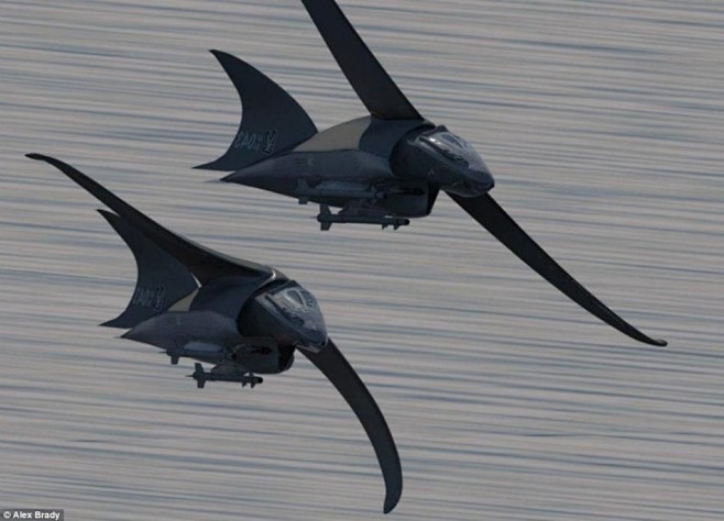 以动物为灵感设计的概念飞机：翼龙外形战斗...