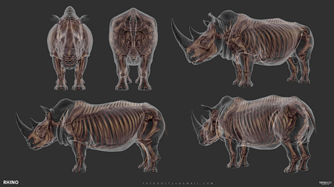 RHINO | Breakdowns, ...