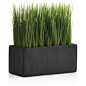 Crate & Barrel Large Potted Artificial Grass