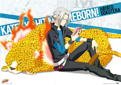 大野智的小和也采集到家庭教师 reborn 泽田纲吉