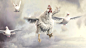 General 1920x1080 Fable Chicken dove sky animals Fable 3