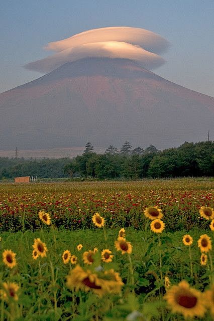 富士山与伞云，山梨县，日本