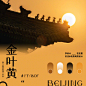 2023城市色卡第3站！9张北京风景配色大赏