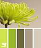 一组夏日清新绿配色，清凉的色系，夏天和绿色更配哦！ #俺们都是设计师# ##优秀平面设计# ​​​​