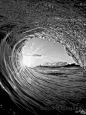 漩涡gif动态图片、海洋冰块海豚动图表情包下载 - 影视综艺明星表情搜索 - soogif动图