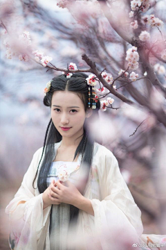 黑砖设计采集到素材