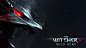 General 1920x1080 gamers The Witcher 3: Wild Hunt