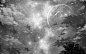 北鲲自制底图男频清流等，
星空主题，
可抱鸭