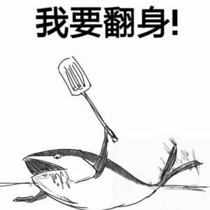 咸鱼表情_百度图片搜索