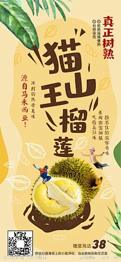 猫山王榴莲单图-源文件-志设网-zs9.com
