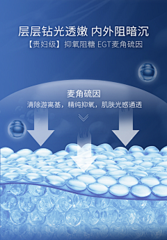 巧克力工厂001采集到肌肤结构