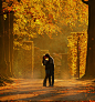 autumn-boy-bright-couple-cute-Favim.com-408941.jpg (500×532)