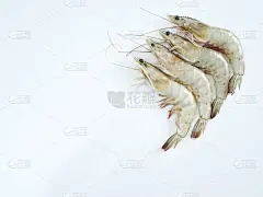 海鲜菜单。白色的桌子上有鲜虾