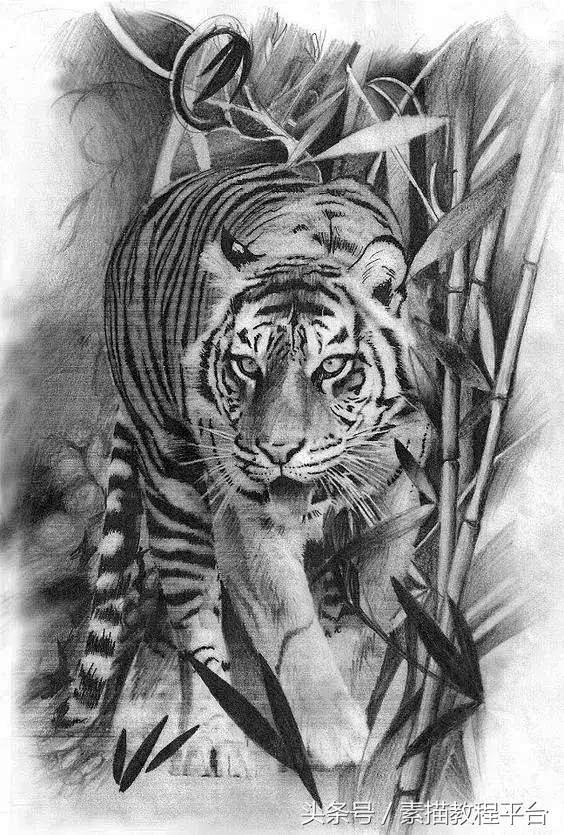 素描动物