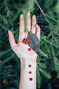 ant-rozetsky-444089-unsplash