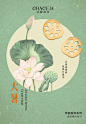 @华晖佳宝GraceH 的个人主页 - 微博