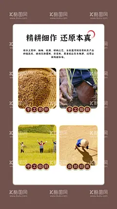 大米海报  - 源文件下载【酷图网】大米,现碾米,胚芽米,农耕,农民,稻谷,