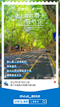 来自饿了么的春日明信片，“袋”来上海春天的温暖与治愈