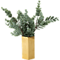 植物木质方形花盆和绿植盆栽素材下载