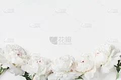 白色牡丹花的花边界上的粉彩桌顶视图。