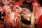 花魁系婚紗館/花魁攝影/台中花魁 | 幸福婚禮攝影團隊 : 歡迎洽詢拍攝高級日本花魁服寫真服務 我們有專業的造型師與攝影師團隊+專屬花魁攝影棚+客製化拍攝+客製化設計圖與相本製作 喜歡我們作品歡迎預約檔期喔!!! 不用到日本京都在台灣就可以拍攝美美的日式風格寫真藝術照!!! 讓你省了好幾萬的機票錢~~~~~ 年輕不留白~~~給自己一個特別的禮物~~ 把自己最美的樣子留下來當一輩子紀念 包套方案請加LINE有專人為您服務唷!!!