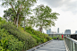 DSC08309-scaled